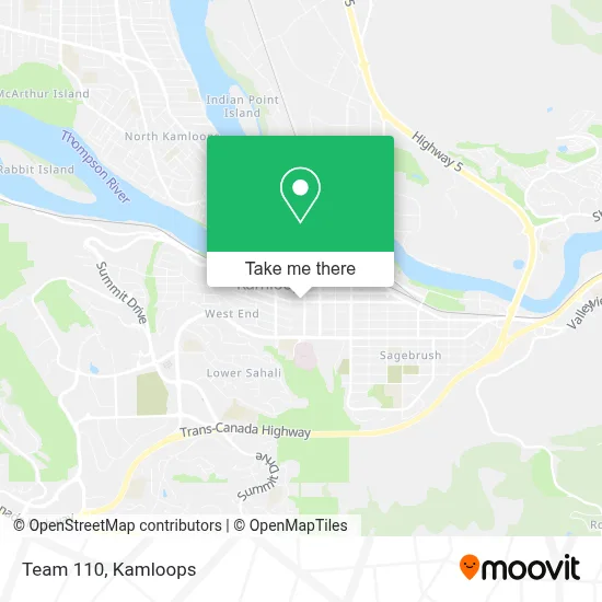 Team 110 map