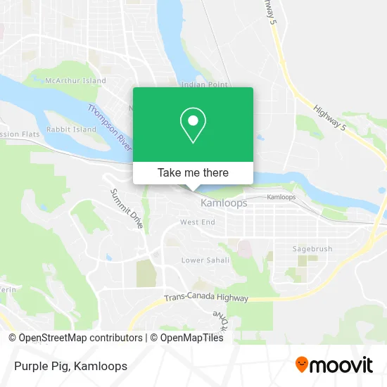 Purple Pig map