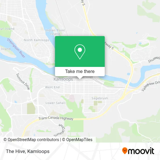 The Hive map