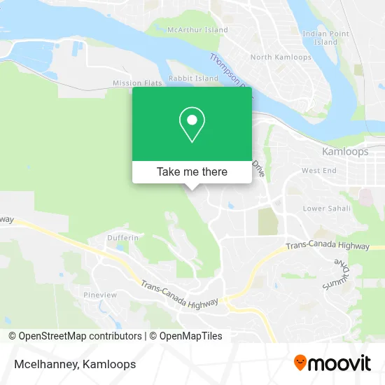 Mcelhanney map