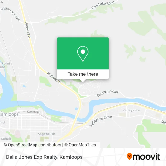 Delia Jones Exp Realty map