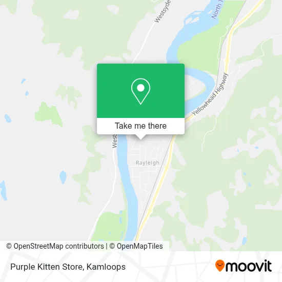 Purple Kitten Store map