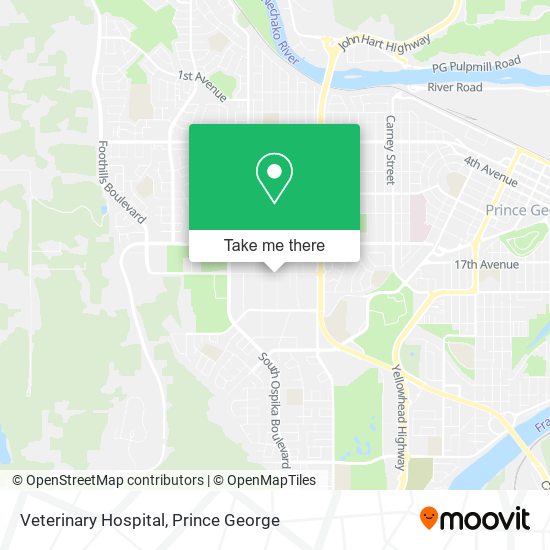 Veterinary Hospital plan