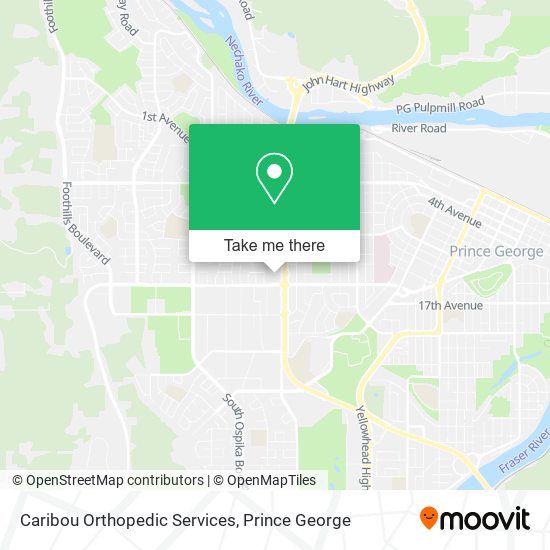 Caribou Orthopedic Services plan