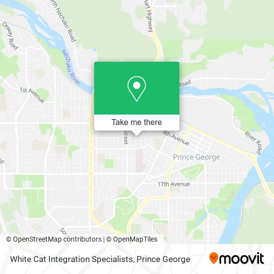 White Cat Integration Specialists map
