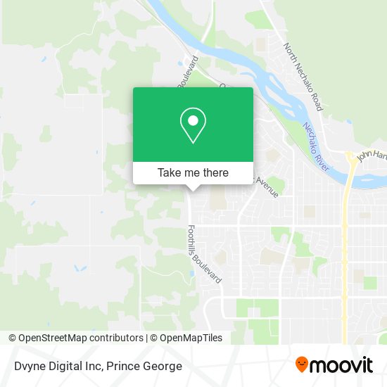 Dvyne Digital Inc plan
