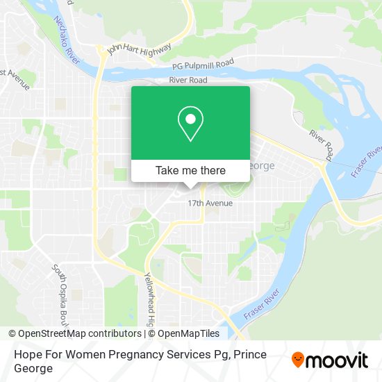 Hope For Women Pregnancy Services Pg plan