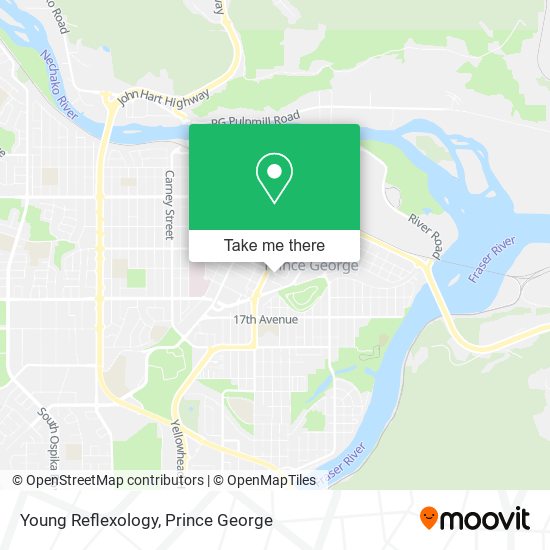 Young Reflexology map
