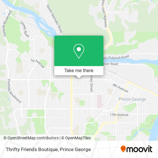 Thrifty Friends Boutique plan