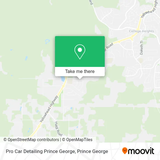 Pro Car Detailing Prince George map