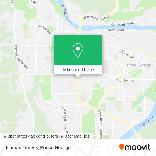 Flaman Fitness plan
