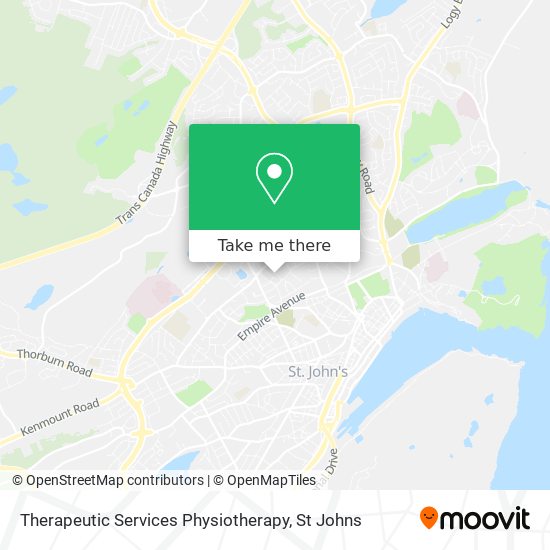 Therapeutic Services Physiotherapy plan