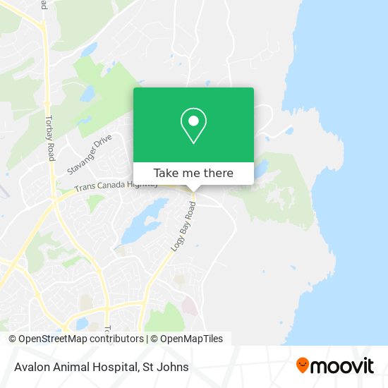 Avalon Animal Hospital map