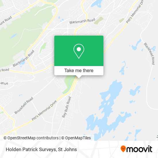 Holden Patrick Surveys map