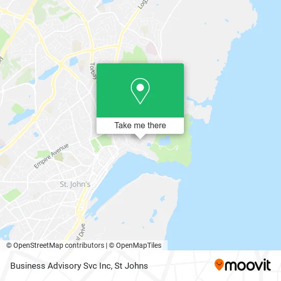 Business Advisory Svc Inc map