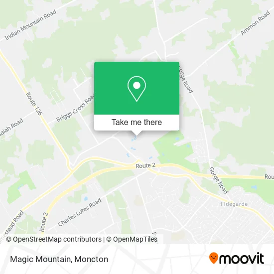 Magic Mountain plan