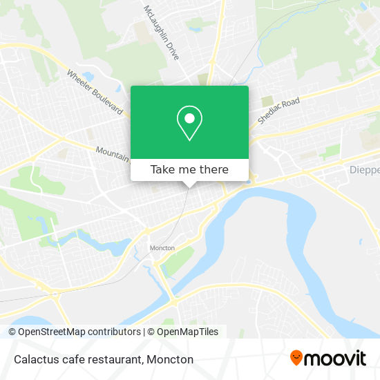 Calactus cafe restaurant map