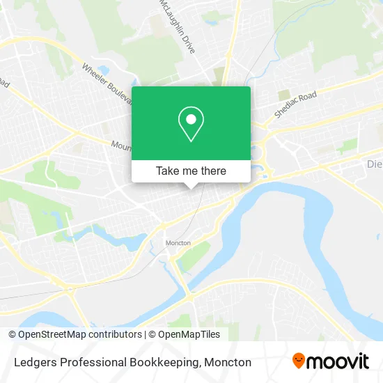 Ledgers Professional Bookkeeping map