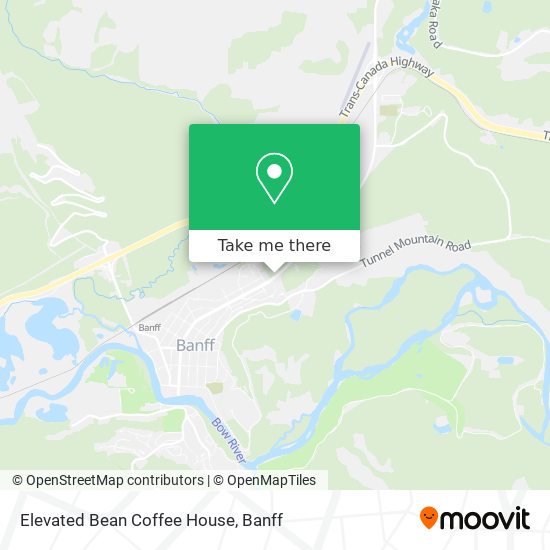Elevated Bean Coffee House plan