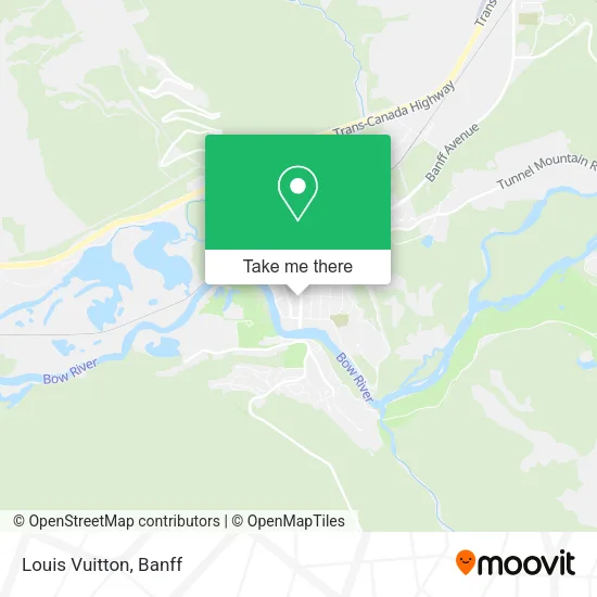 Louis Vuitton map