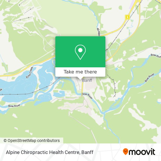 Alpine Chiropractic Health Centre plan