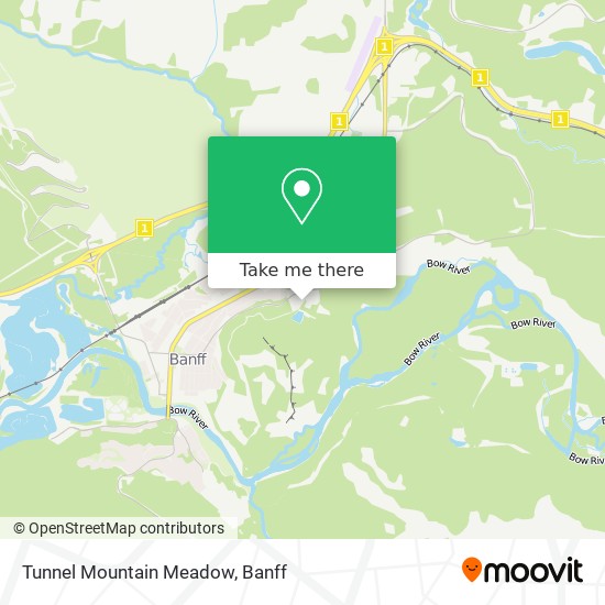 Tunnel Mountain Meadow plan
