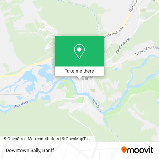 Downtown Sally map