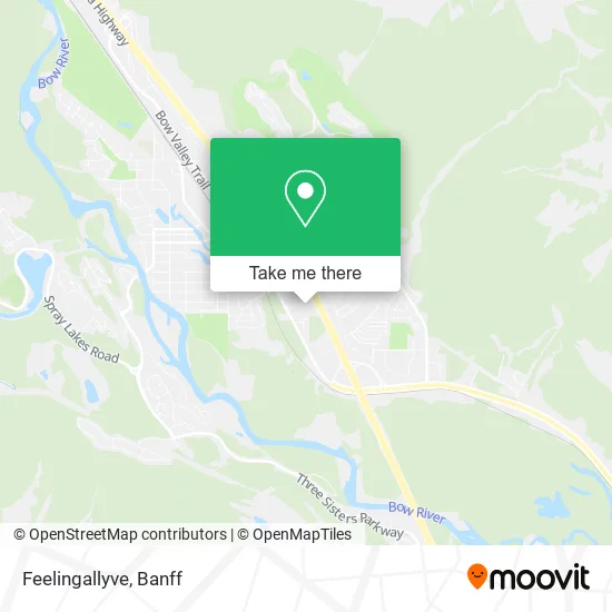 Feelingallyve map