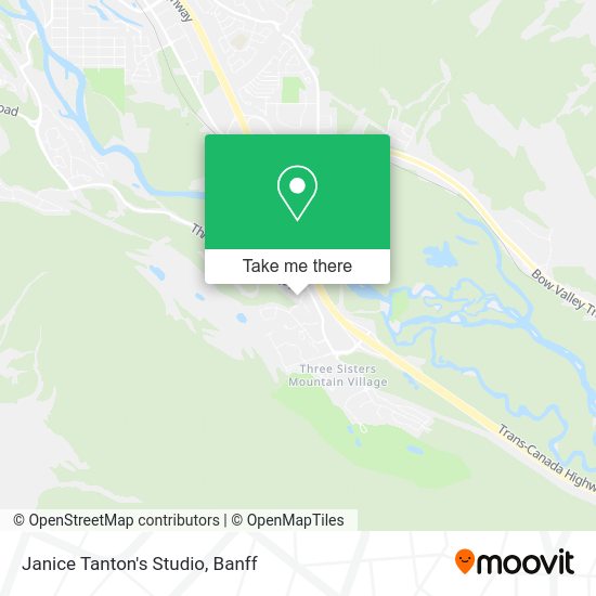 Janice Tanton's Studio map