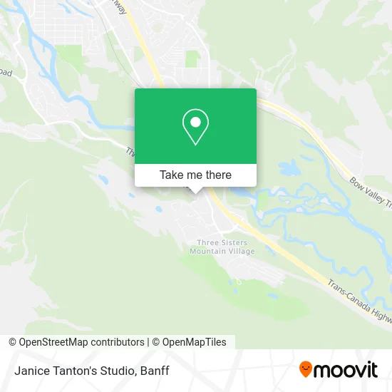 Janice Tanton's Studio map