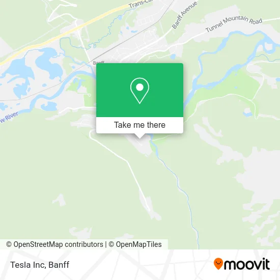 Tesla Inc map