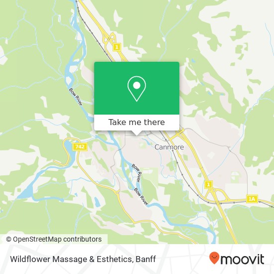 Wildflower Massage & Esthetics map