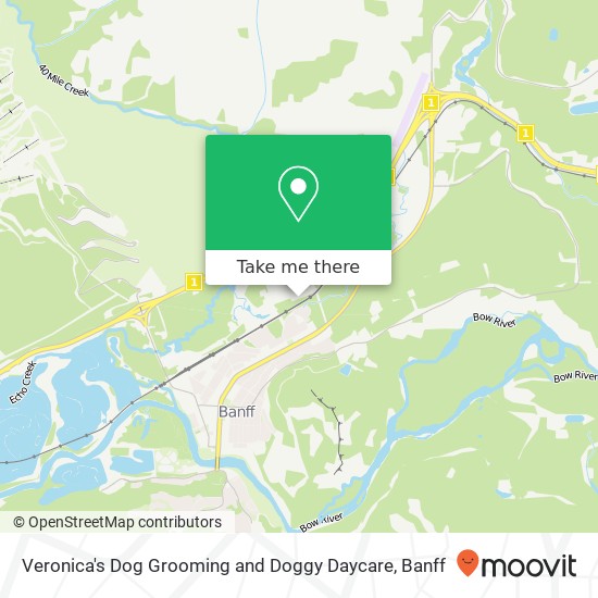 Veronica's Dog Grooming and Doggy Daycare map