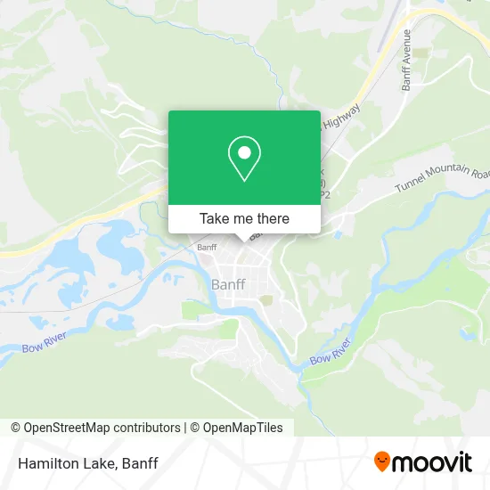 Hamilton Lake map