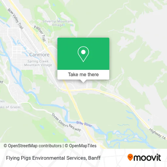 Flying Pigs Environmental Services map