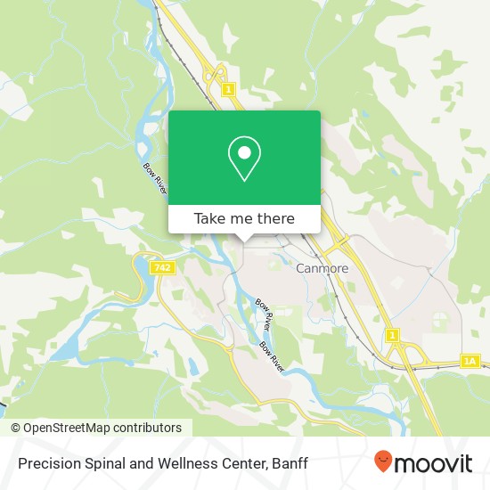 Precision Spinal and Wellness Center map