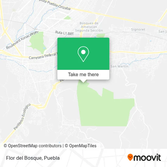 Flor del Bosque map
