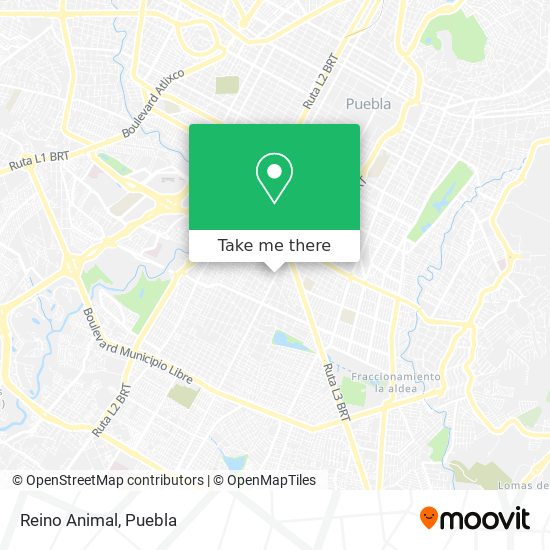 How to get to Reino Animal in San Andrés Cholula by Bus?