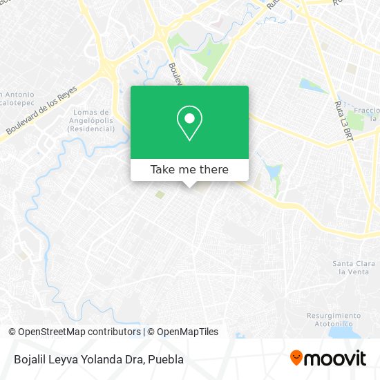 Bojalil Leyva Yolanda Dra map