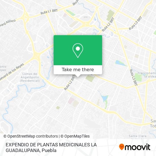 Mapa de EXPENDIO DE PLANTAS MEDICINALES LA GUADALUPANA