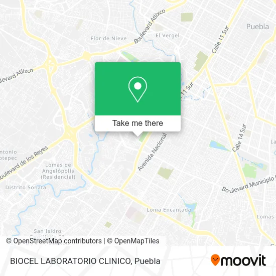 BIOCEL LABORATORIO CLINICO map