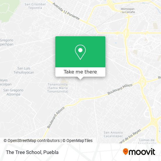 Mapa de The Tree School