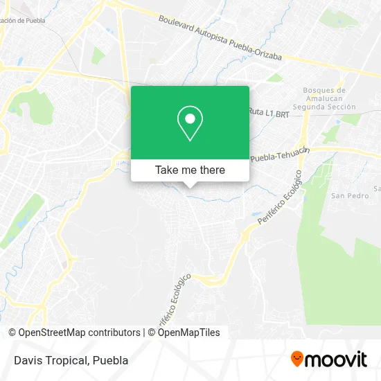 Davis Tropical map