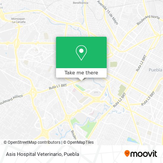 Asis Hospital Veterinario map