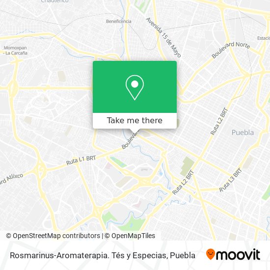 Rosmarinus-Aromaterapia. Tés y Especias map