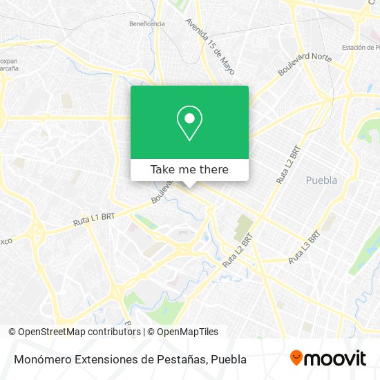Mapa de Monómero Extensiones de Pestañas