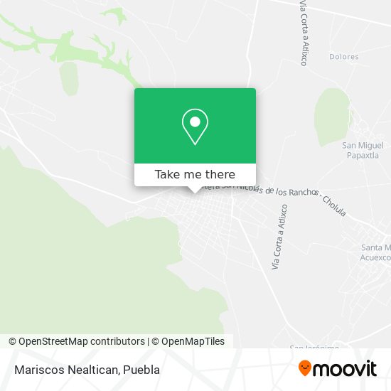 Mariscos Nealtican map