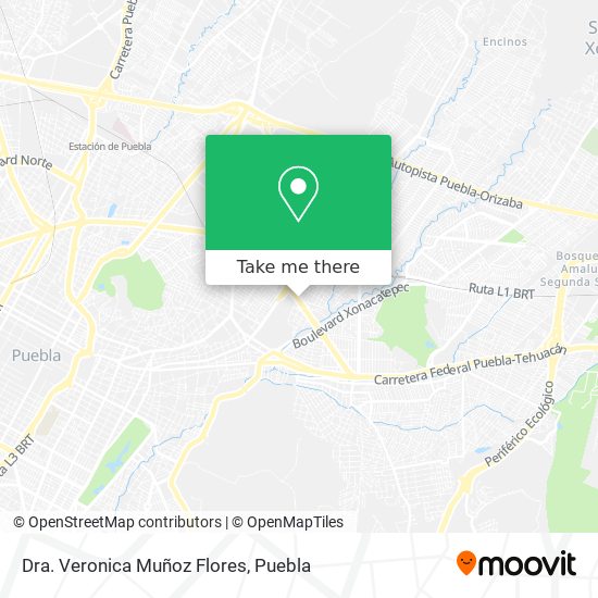 Dra. Veronica Muñoz Flores map