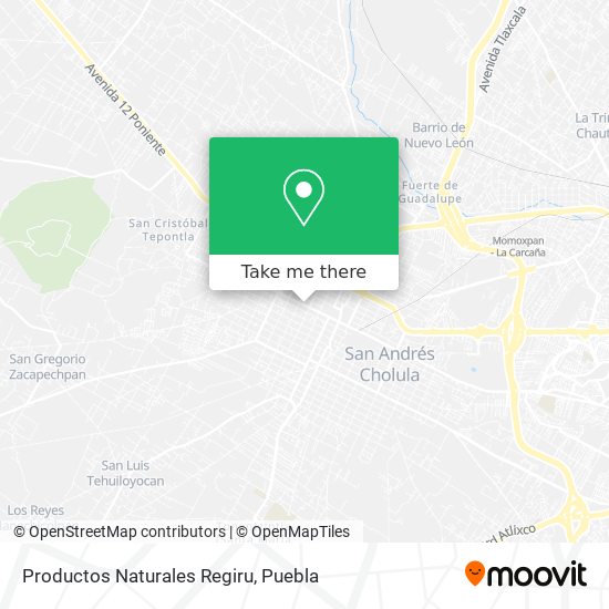 Mapa de Productos Naturales Regiru