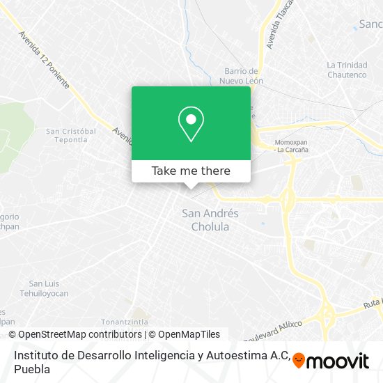 Instituto de Desarrollo Inteligencia y Autoestima A.C map